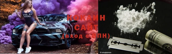 индика Богданович
