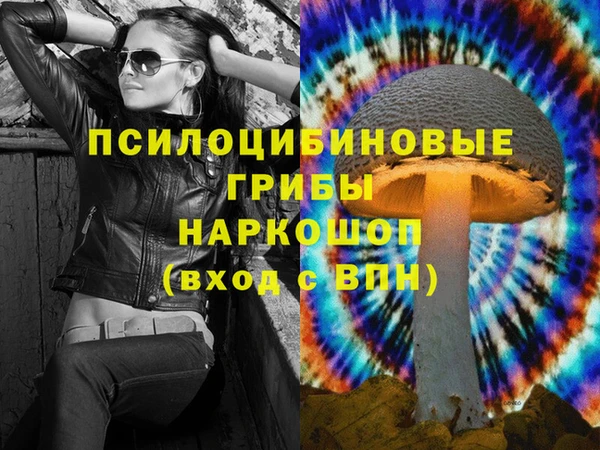 шишки Богородицк
