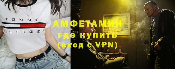 шишки Богородицк