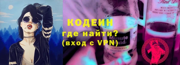 индика Богданович