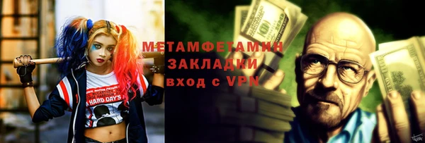 индика Богданович