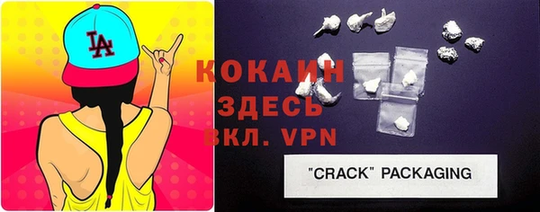 индика Богданович