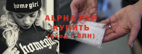 шишки Богородицк