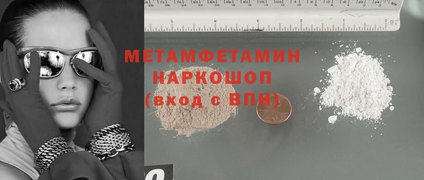 индика Богданович
