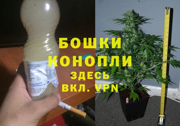 шишки Богородицк