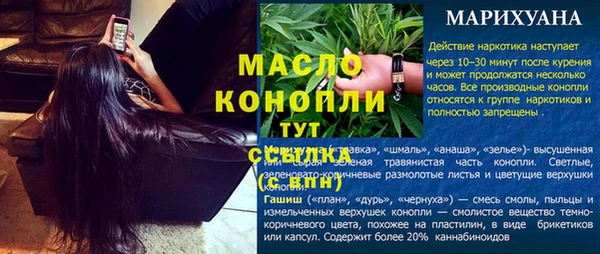 индика Богданович