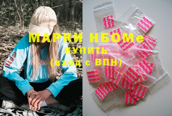 шишки Богородицк