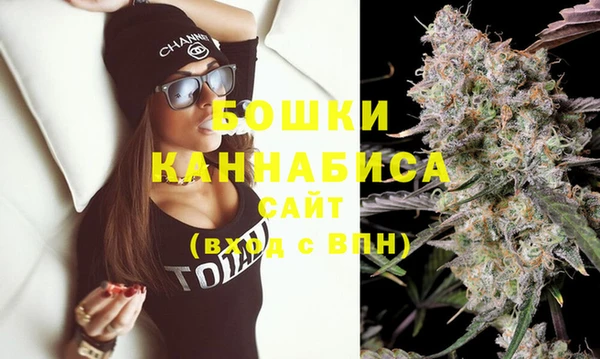шишки Богородицк