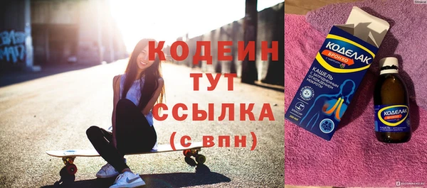 шишки Богородицк