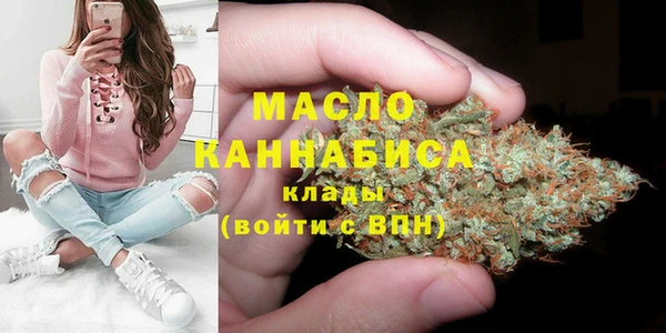 индика Богданович