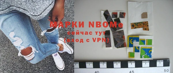 индика Богданович