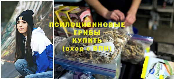 индика Богданович