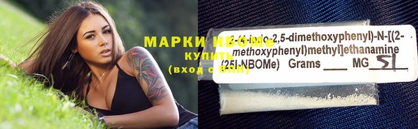 шишки Богородицк