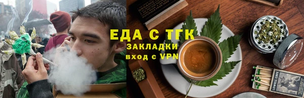 индика Богданович