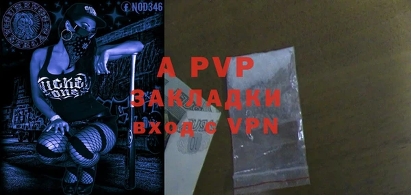индика Богданович
