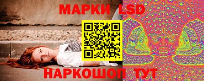 a pvp Кунгур