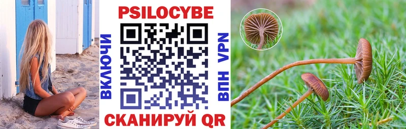 Галлюциногенные грибы MAGIC MUSHROOMS Купить где Алушта