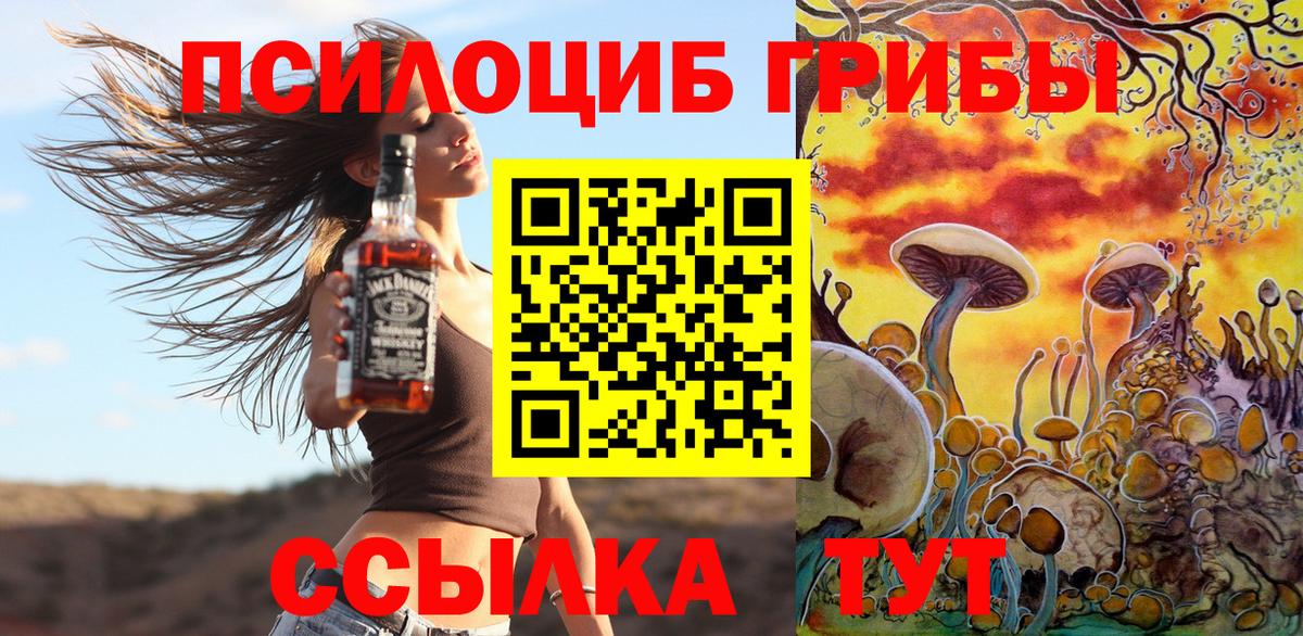 Псилоцибиновые грибы GOLDEN TEACHER  наркошоп  Вход с VPN  Алушта  Псилоцибиновые грибы Psilocybine cubensis 