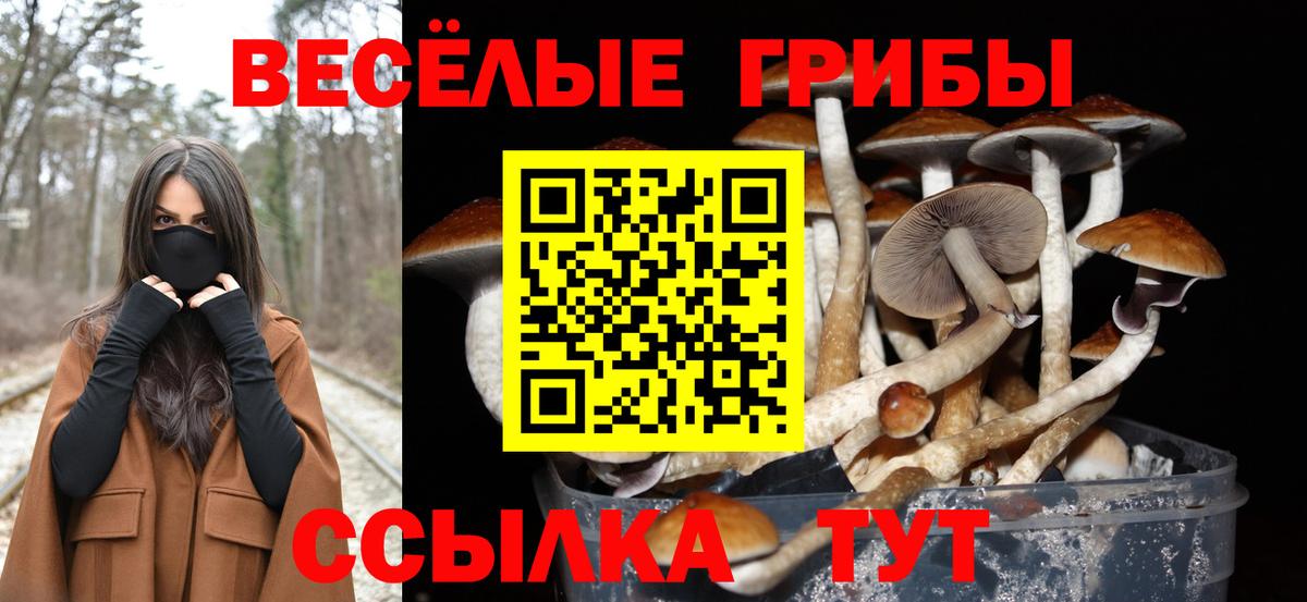 Псилоцибиновые грибы MAGIC MUSHROOMS  Вход с VPN  Алушта 